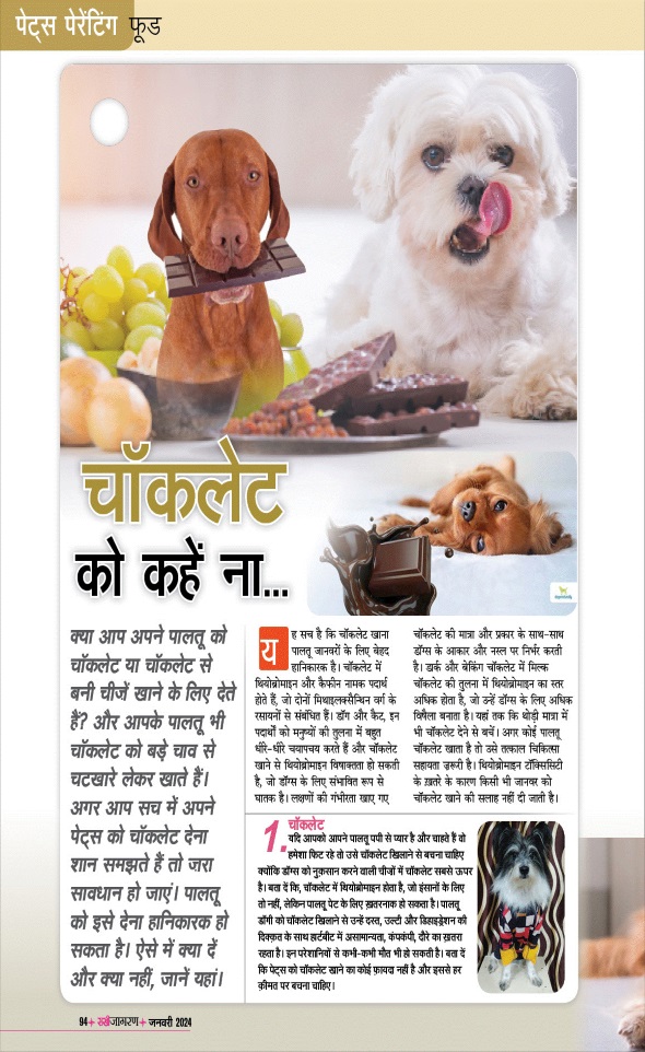 Jagran 01 Jan 2024 Sakhi Edition Magazine Page 94