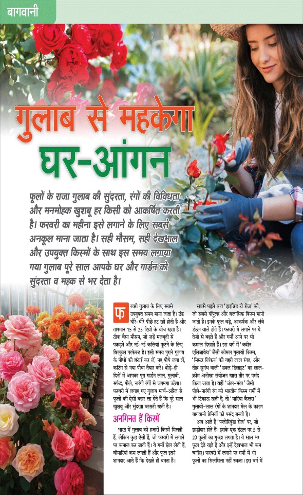 Jagran 01 Feb 2026 Sakhi Edition Magazine Page 79
