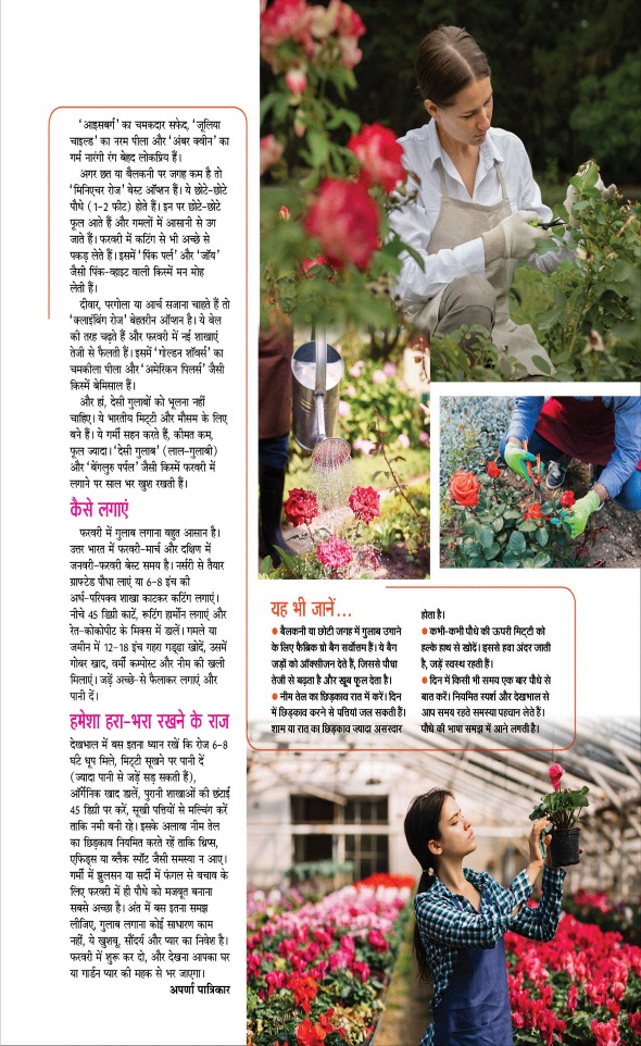 Jagran 01 Feb 2026 Sakhi Edition Magazine Page 80