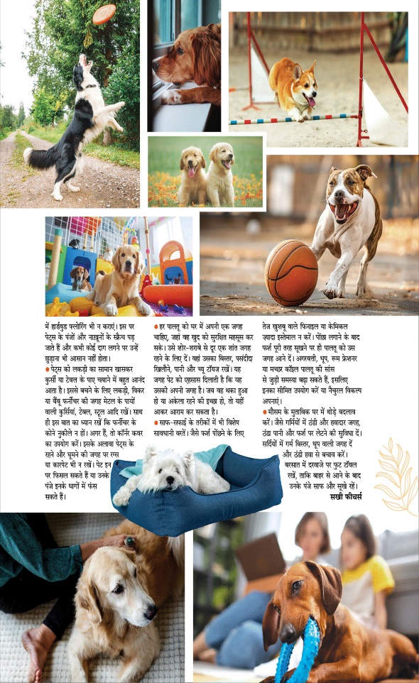 Jagran 01 Feb 2026 Sakhi Edition Magazine Page 82