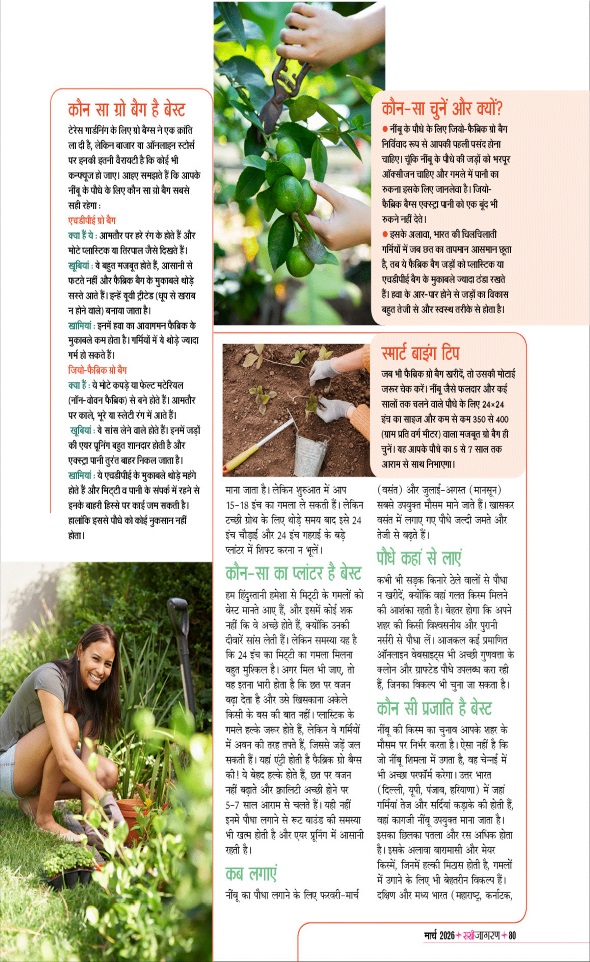 Jagran 01 Mar 2026 Sakhi Edition Magazine Page 80