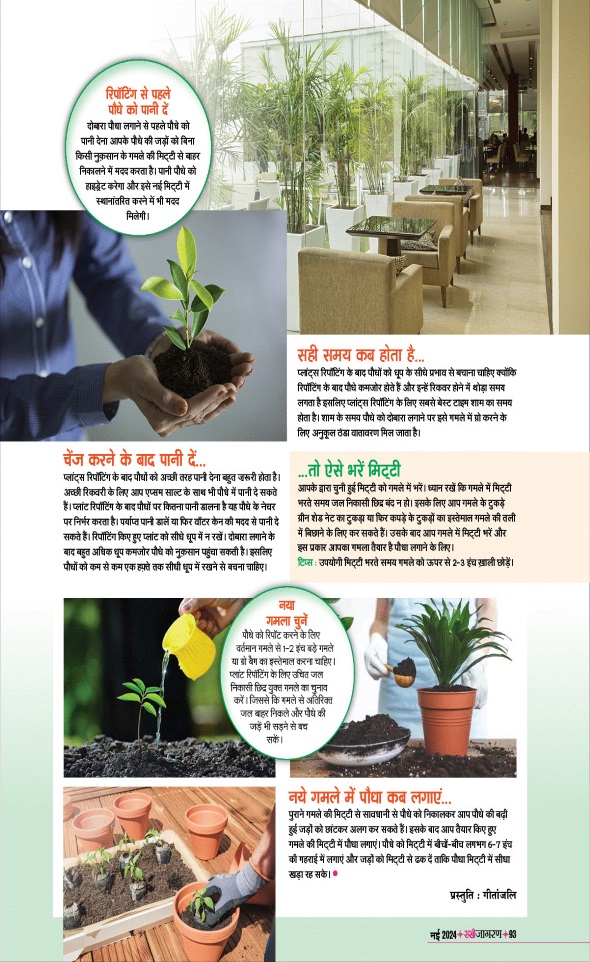 Jagran 01 May 2024 Sakhi Edition Magazine Page 93