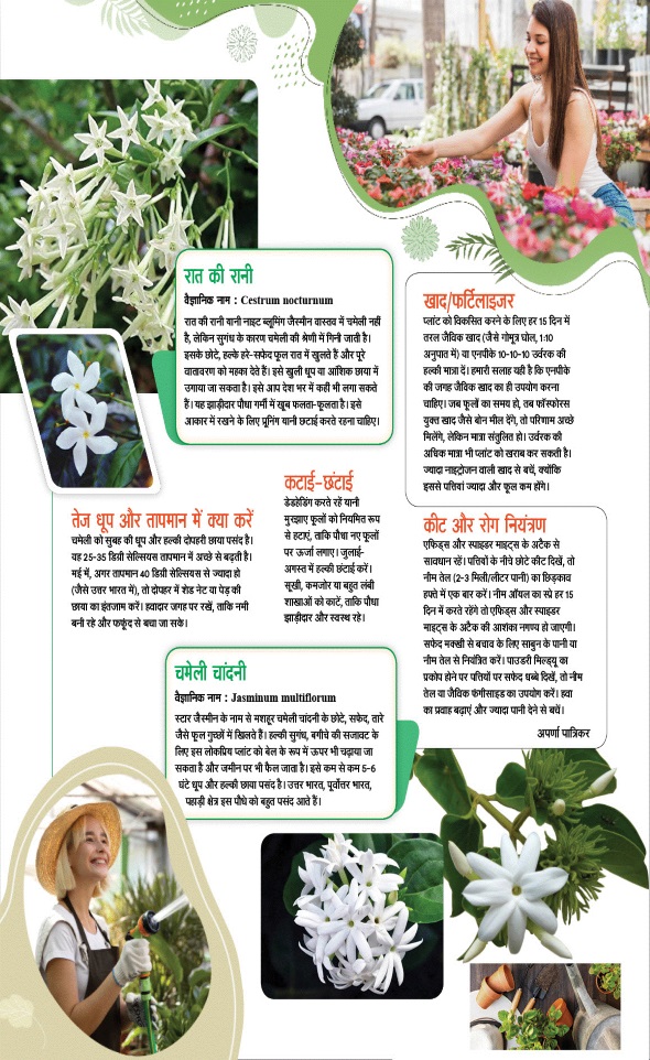 Jagran 01 May 2025 Sakhi Edition Magazine Page 79