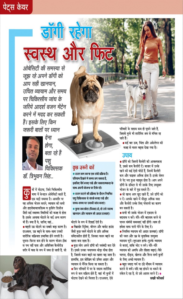 Jagran 01 Jun 2025 Sakhi Edition Magazine Page 74