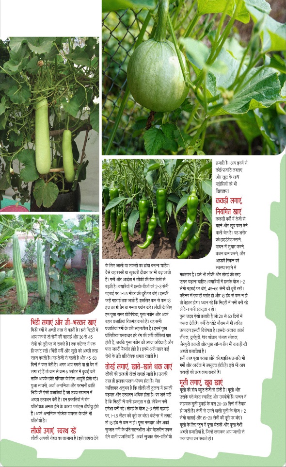 Jagran 01 Jun 2025 Sakhi Edition Magazine Page 78