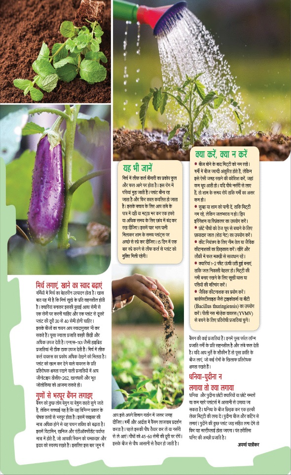 Jagran 01 Jun 2025 Sakhi Edition Magazine Page 79