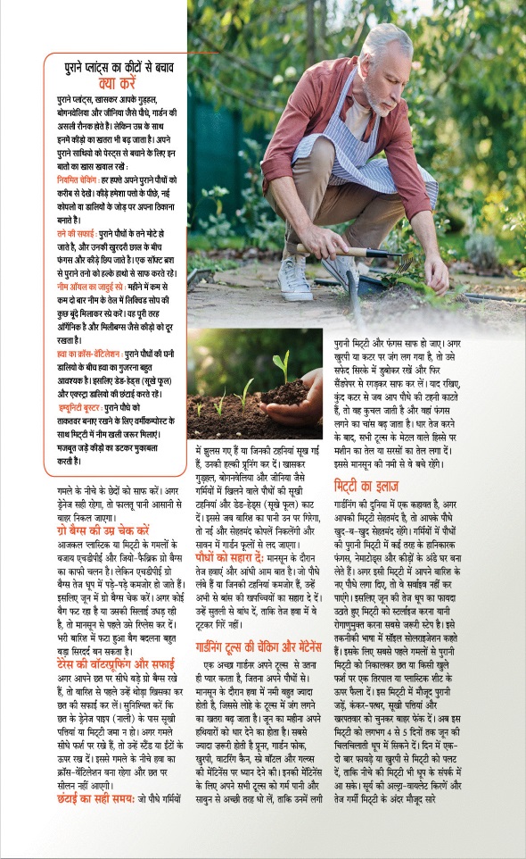 Jagran 01 Jun 2026 Sakhi Edition Magazine Page 80