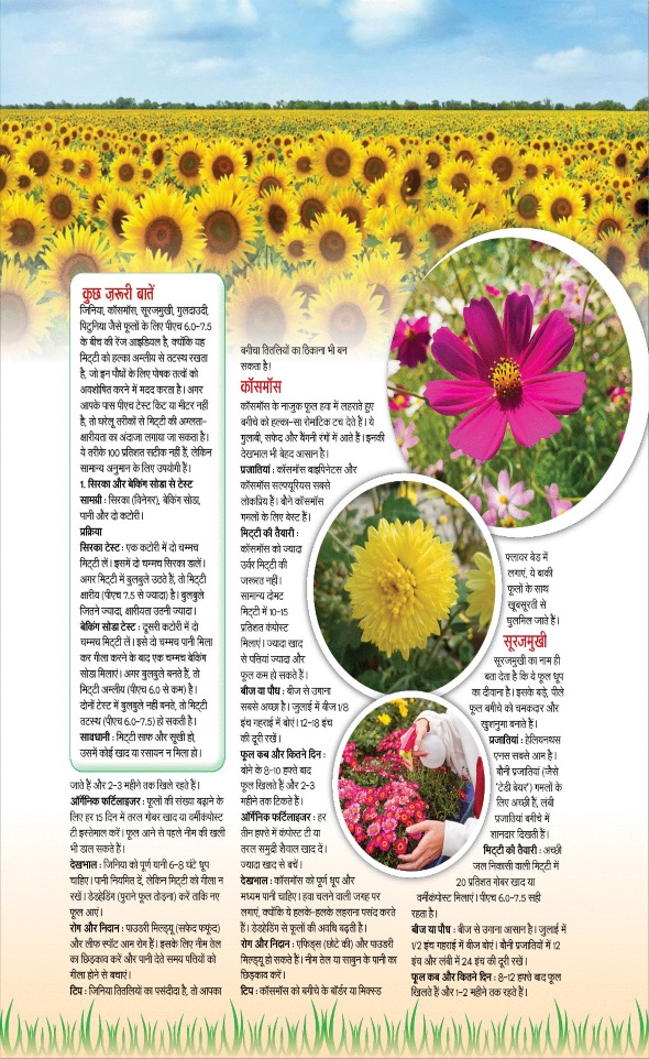 Jagran 01 Jul 2025 Sakhi Edition Magazine Page 78