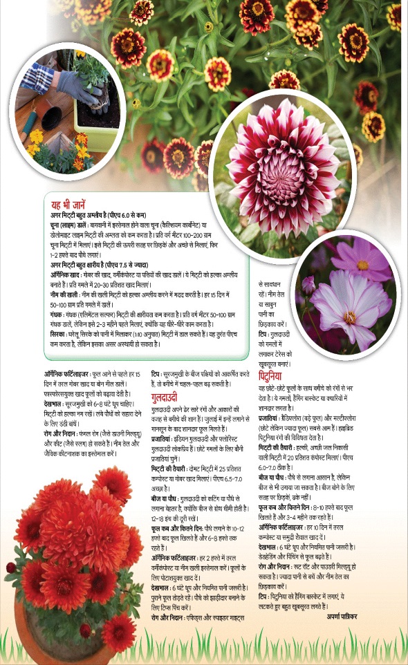 Jagran 01 Jul 2025 Sakhi Edition Magazine Page 79