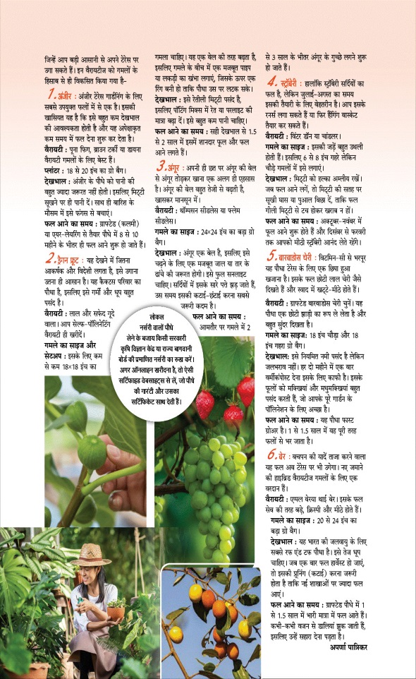 Jagran 01 Jul 2026 Sakhi Edition Magazine Page 82