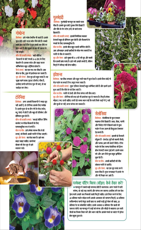 Jagran 01 Aug 2026 Sakhi Edition Magazine Page 81